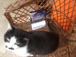 DSCF6661.JPG