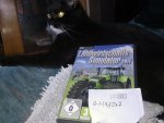 katze.jpg