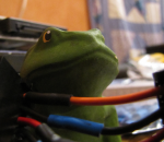15.png
