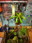 image-571324939.png