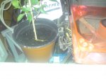 DSC00259.JPG