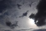 DPP_0718.JPG