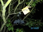 PICT0824.jpg