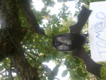 ForumRunner_20110826_114612.png