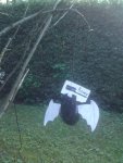 DSC00264.jpg