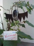 DSC00163.JPG