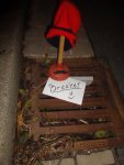 DSC02575.jpg