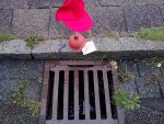 Bild0102.jpg