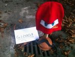 gulli.jpg