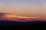 IMG_1484.jpg