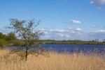 IMG_2340.jpg