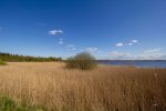 IMG_2346.jpg