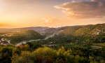 DSC_0025-3.jpg