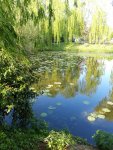IMG-20200427-WA0002.jpg