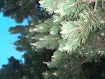20200501_211302.jpg