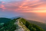 DSC_1020-3.jpg
