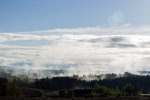 IMG_2032.jpg