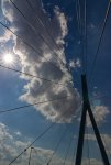 IMG_8275.jpg