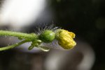 IMG_9572.jpg