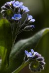 IMG_3261.jpg