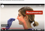 nase.png