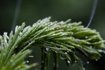 IMG_4319.jpg