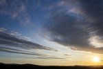 IMG_2650.jpg