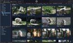 EazyFlixPix-Media-Organizer-1528208099-0-0.jpg