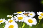 IMG_9901.jpg