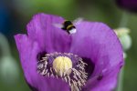 IMG_0340-Wiederhergestellt.jpg