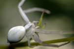 IMG_0934.jpg