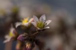DSC_0359s.jpg