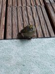20191006_101414.jpg