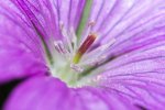 IMG_3413.jpg