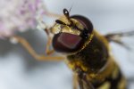 IMG_3430.jpg