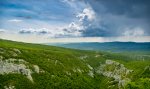 DSC_1004-2.jpg