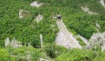 DSC_1010.jpg