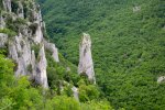 DSC_1016.jpg