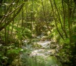 DSC_0952.jpg