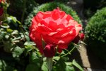 DSC00010.jpg