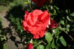 DSC00011.jpg