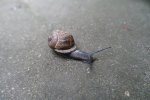 DSC00036.jpg