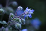 IMG_5671.jpg