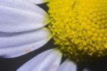 IMG_7005.jpg