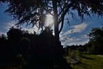 DSC00556.jpg