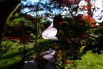 DSC00584.jpg