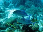 IMG_0578_web.jpg