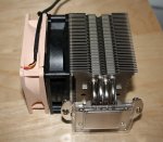 noctua.jpg