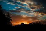 _DSC0865.jpg