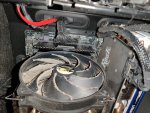 IMG_20200810_163546.jpg